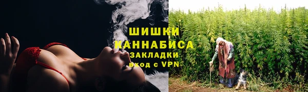 индика Баксан