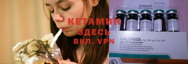 индика Баксан