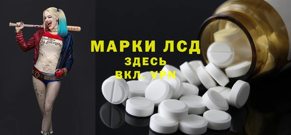 индика Баксан