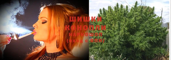 гидра Балабаново