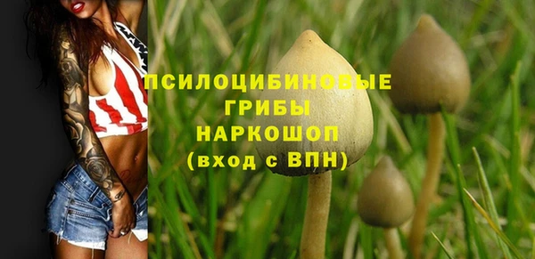 гидра Балабаново
