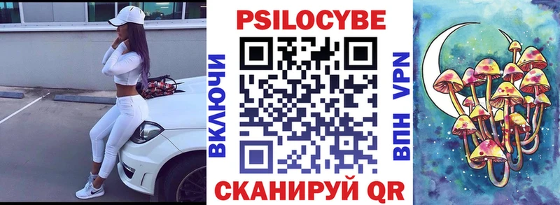 где можно купить   Владивосток  Псилоцибиновые грибы MAGIC MUSHROOMS 